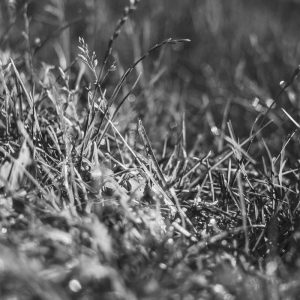 Автомобильный навес из поликарбоната