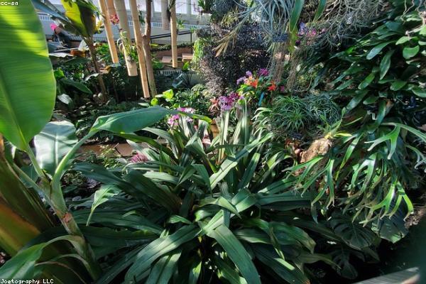 Аркові теплиці