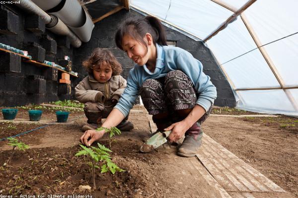 Аркові Мітлайдера