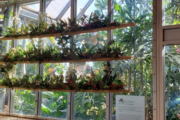 Двосхилі теплиці