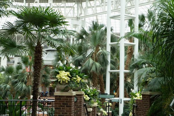 Фермерські теплиці